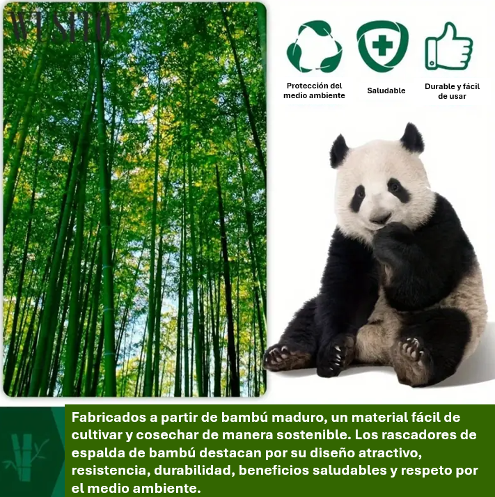 Rascador De Espalda 2 en 1 Masajeador Corporal